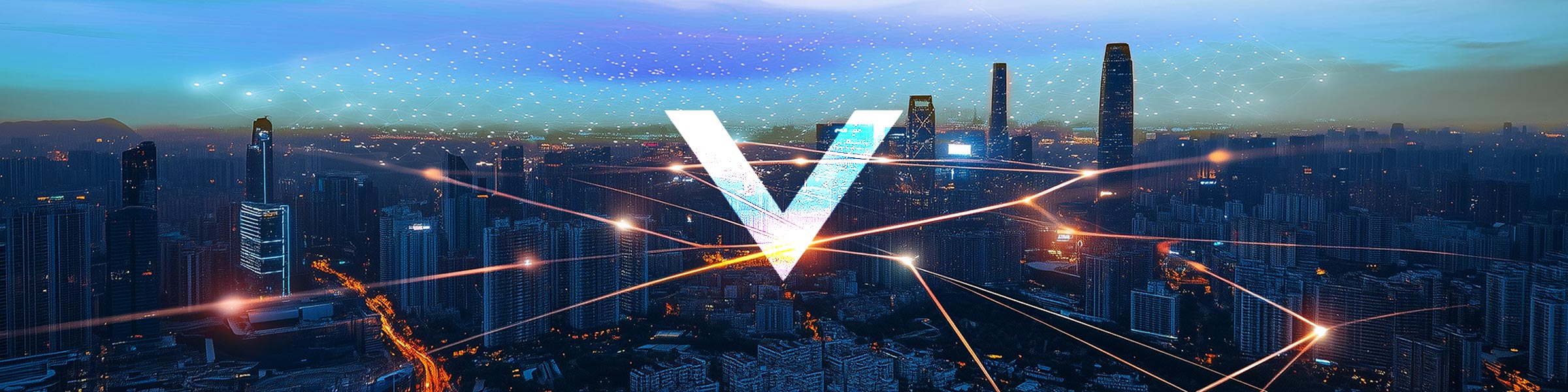 Vizara Product Banner